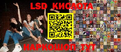 спиды Донской