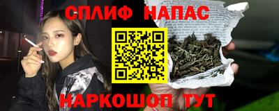 спиды Донской