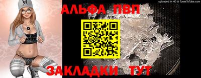 спиды Донской
